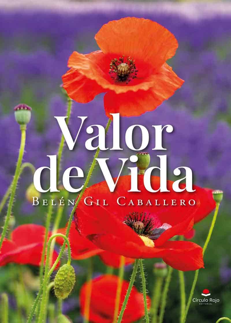 valor-de-vida