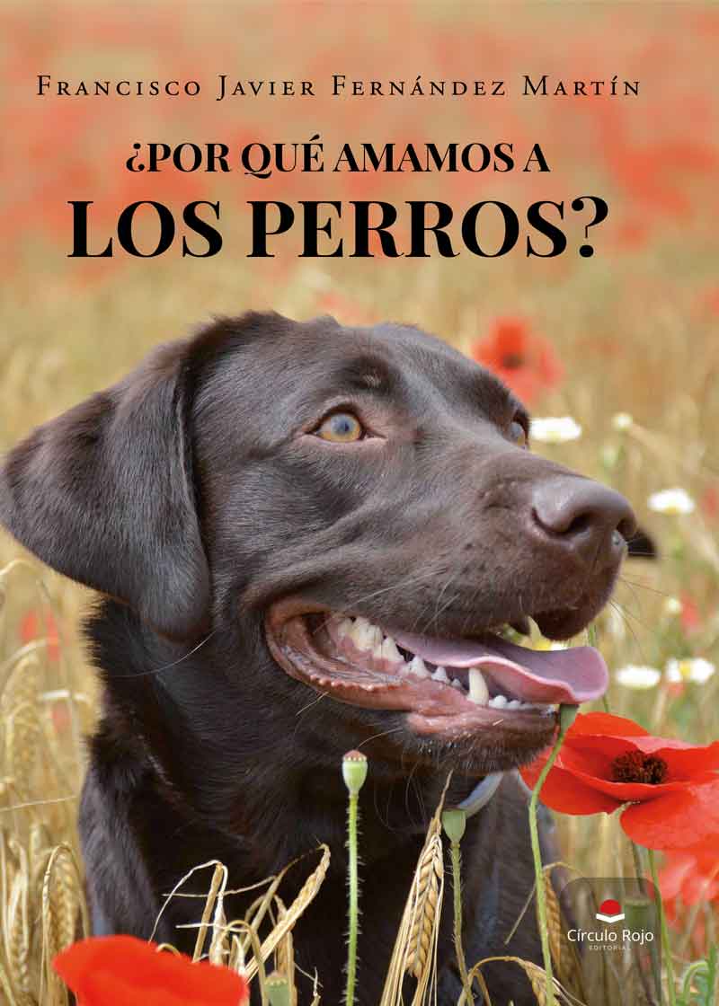 por-que-amamos-a-los-perros