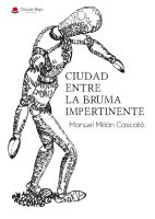 Ciudad-entre-la-bruma-impertinente