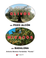 ENTRE OLIVOS