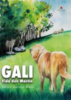 gali-vida-dun-mastin