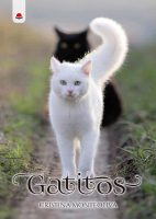 gatitos