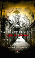 la-luz-que-florecio-entre-las-sombras