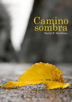 libro-camino-sombra.jpg