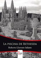 libro-la-piscina-de-bethesda.jpg