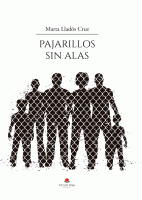 pajarillo-sin-alas