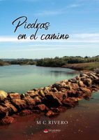 piedras-en-el-camino