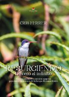 resurgiendo-de-cero-al-infinito