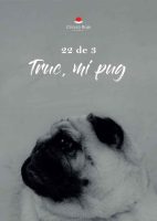 truc-mi-pug