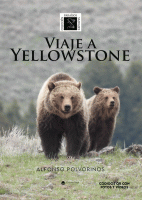 viaje-a-yellowstone