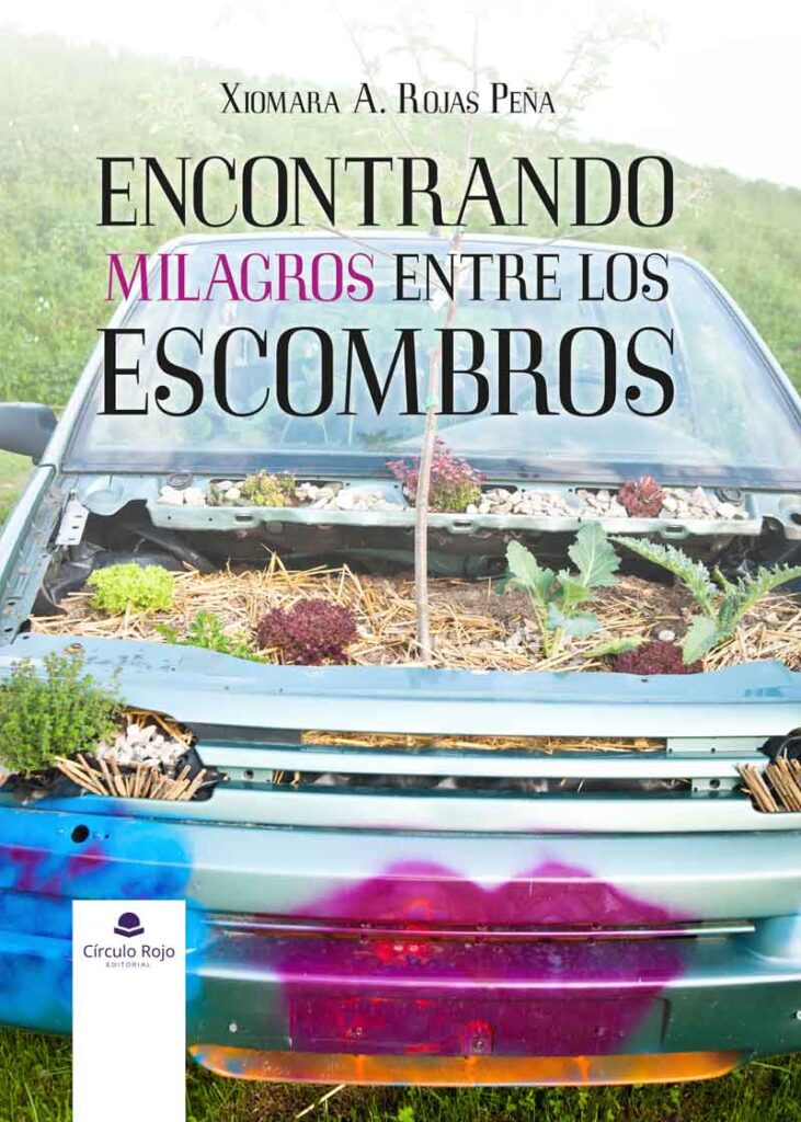 Encontrando milagros entre los escombros