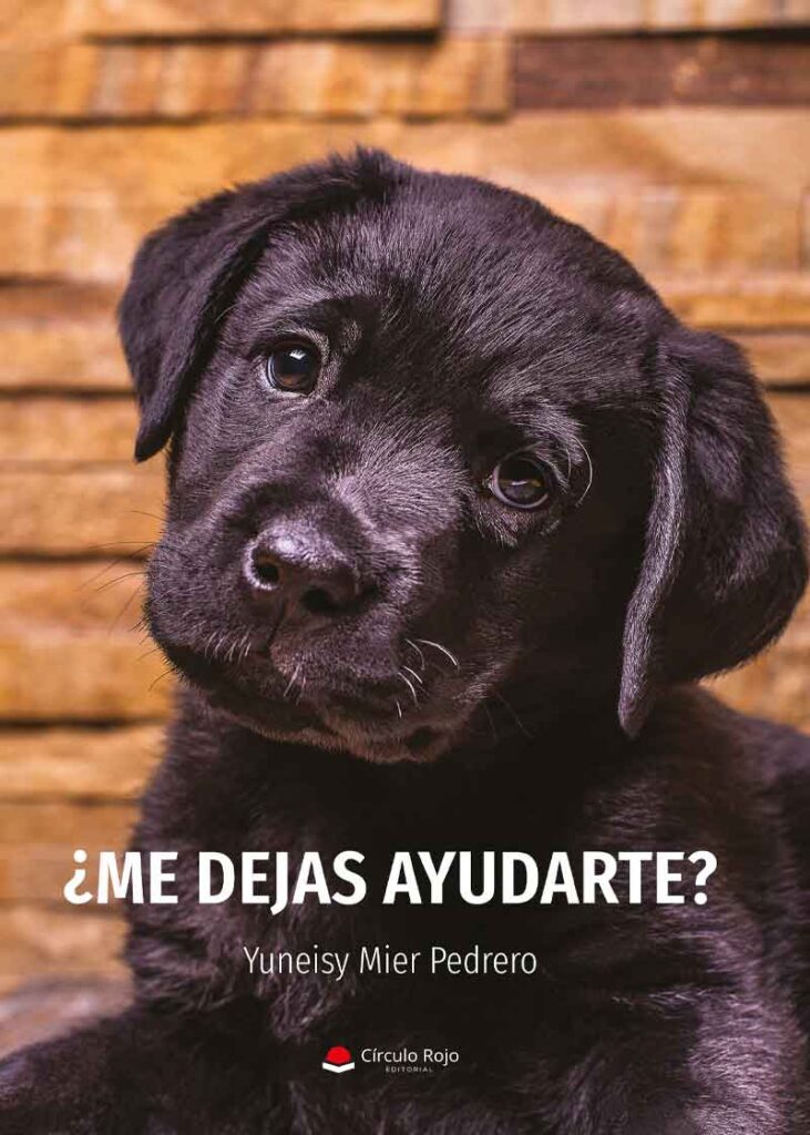 ¿Me dejas ayudarte?