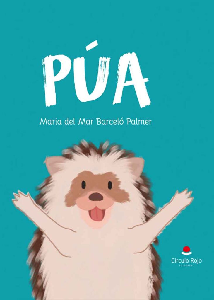 Púa