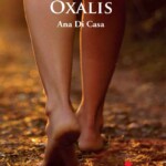 oxalis