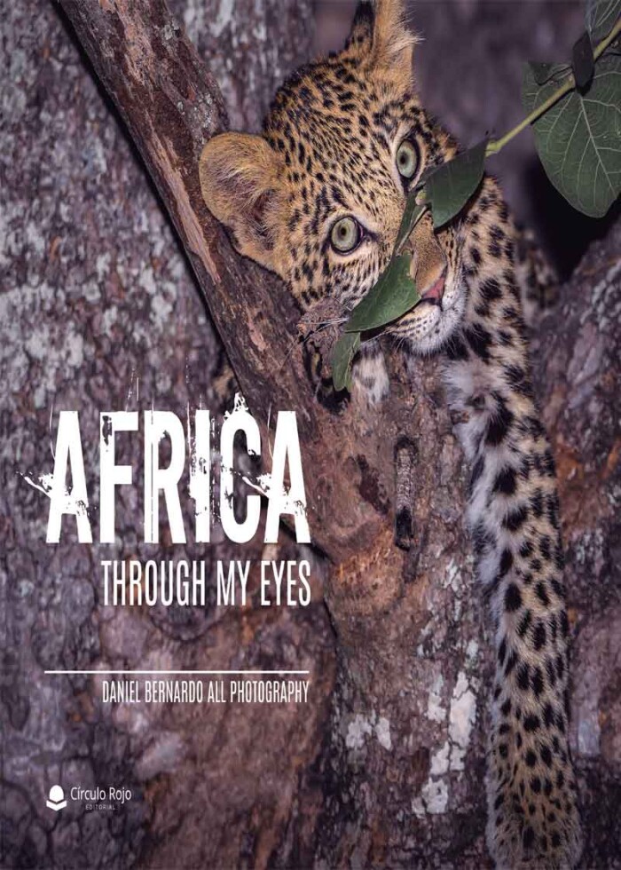 africathroughmyeyes