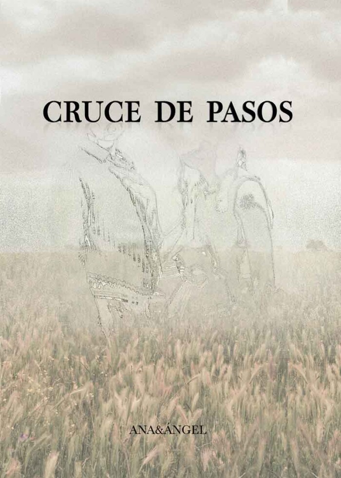 crucedepasos