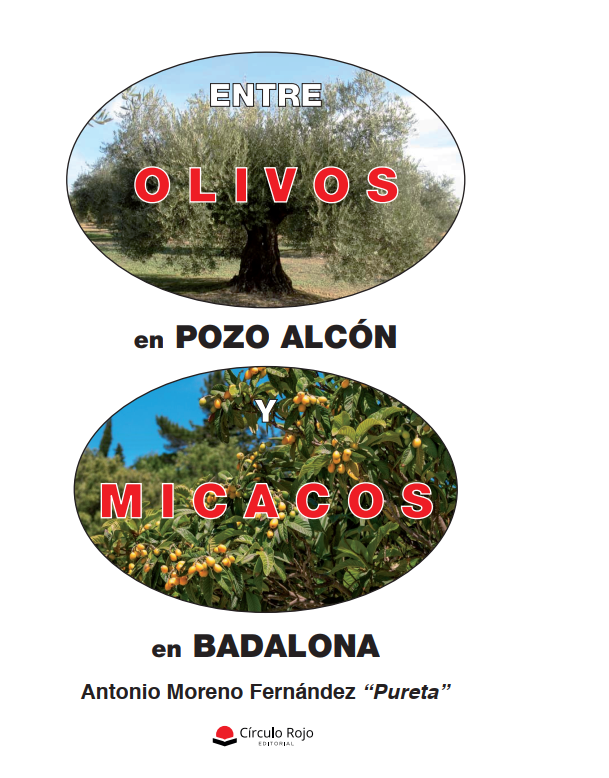 Entre Olivos En Pozo Alc N Y Micacos En Badalona Diciembre Editorial C Rculo Rojo