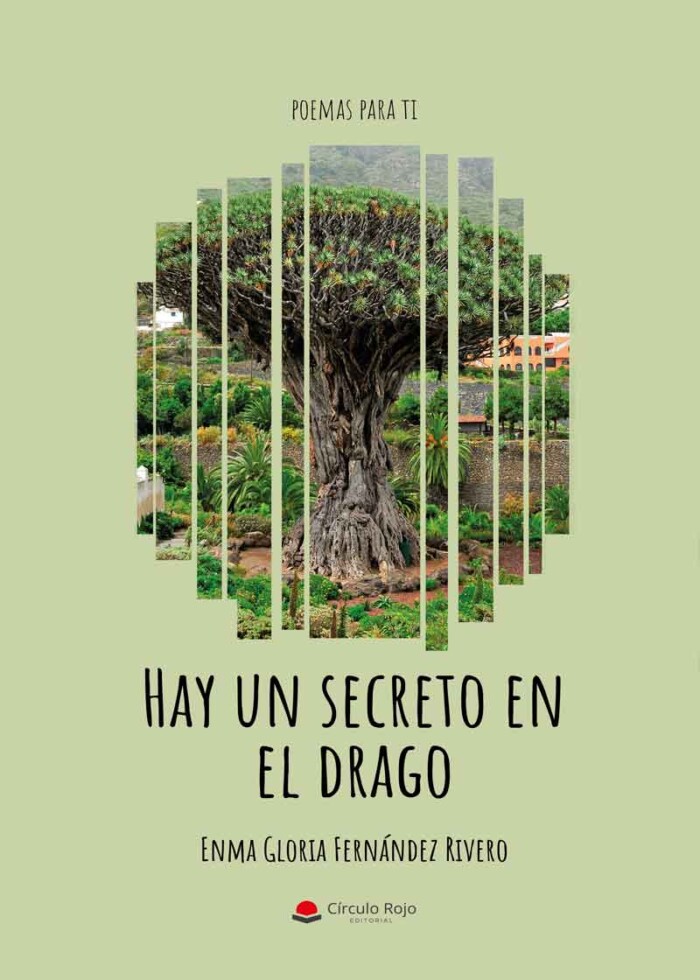 hayunsecretoeneldrago