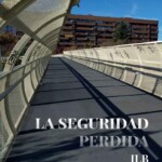 laseguridadperdida