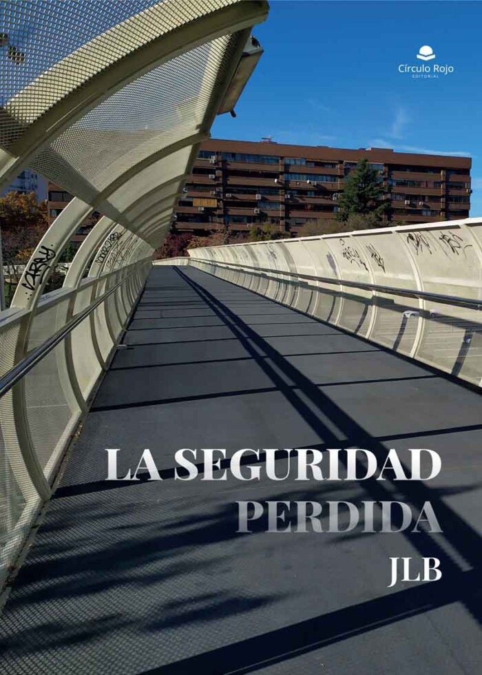 laseguridadperdida