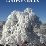 lanievevirgen