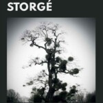 storge