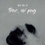 trucmipug